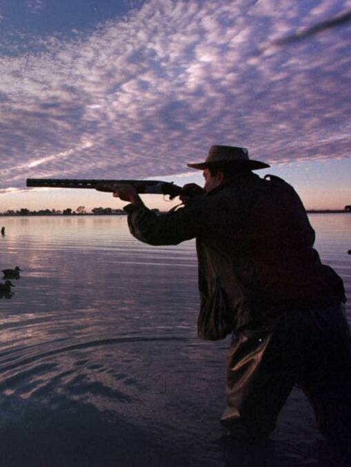 LAUNCH: The 20-day duck hunting season launches in Victoria on Wednesday. Picture: JASON SOUTH/ACM.
