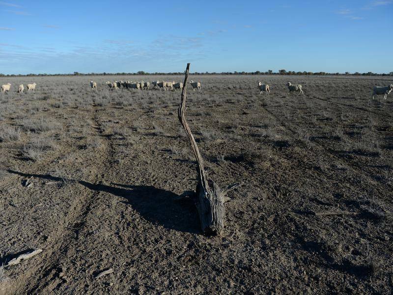 Is it time for us to change the drought narrative? | Our say