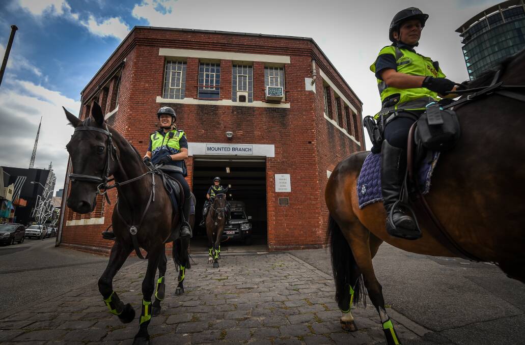 TOP TROT: Female officers in the Victorian Mounted Police. Picture: JUSTIN MCMANUS. 