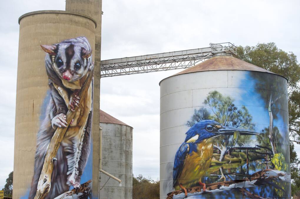ART TRAIL: The silo art in Rochester is one example of the town taking control of its economic destiny. Picture: GLENN DANIELS
