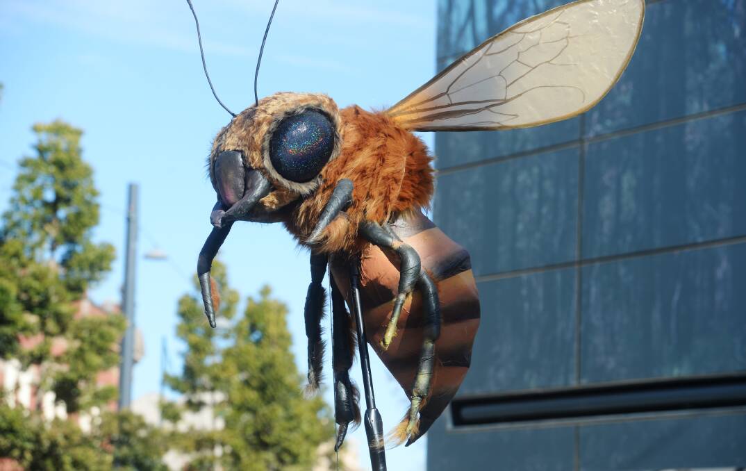 BUZZ OFF: A number of large-scale bugs were present at Hargreaves Mall on Saturday. Picture: DARREN HOWE.