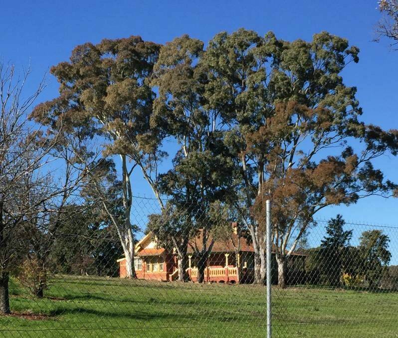 PRIME LAND: The disused La Trobe University site in Flora Hill is one of a number of plots of unused Crown land identified by council as potential housing development spots.