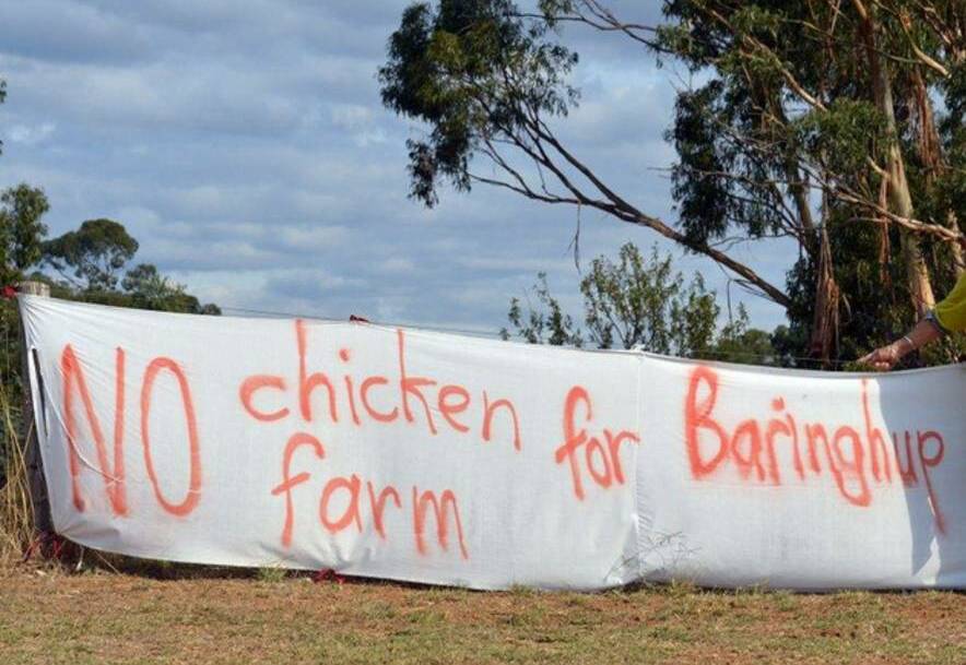 Anti-broiler farm group admits defeat in legal fight