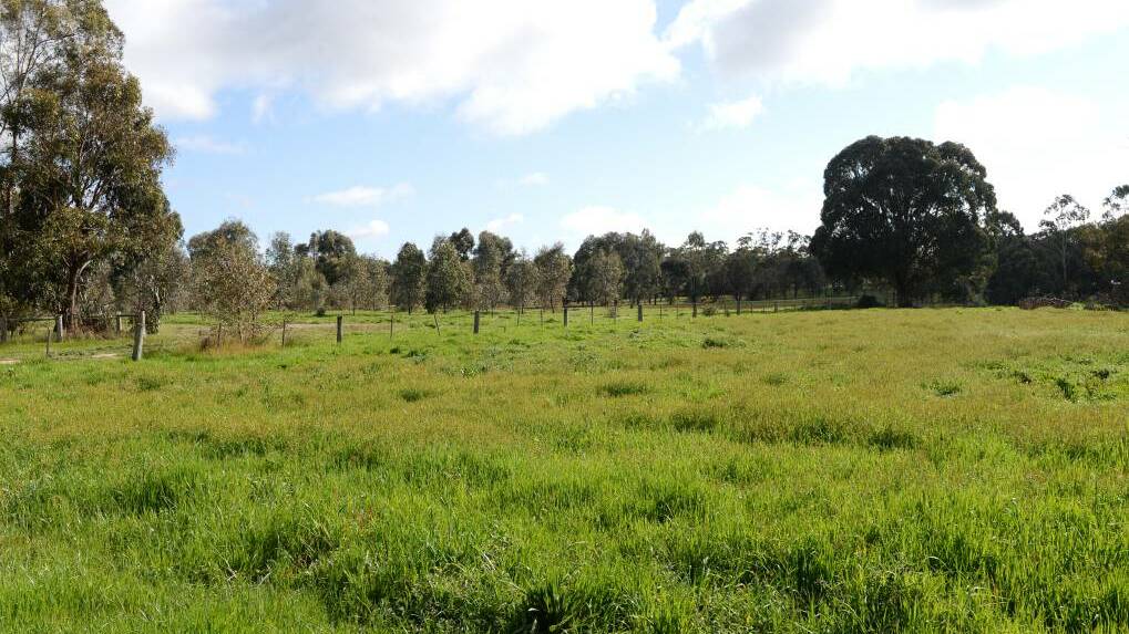The contentious plot of land earmarked for a retirement village in Strathfieldsaye. Picture: DARREN HOWE