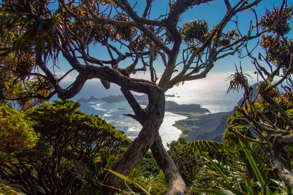 Spectacular: View overlooking the coast at Lord Howe Island. Photo: Jack Shick. 