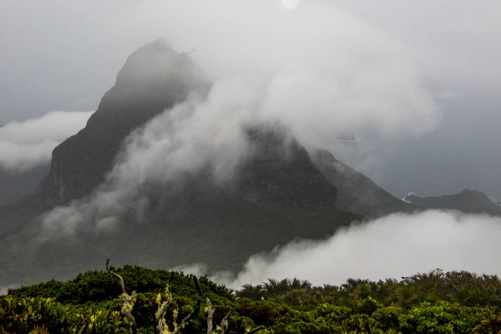 Misty mountain on Lord Howe Island. Photo: Jack Shick. 