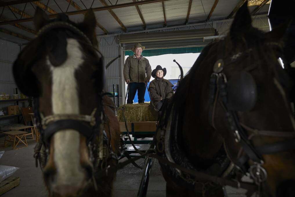 MILES: Brian Harrison and Alicia Driscoll with their horses Clancy and Jake stock up on some feed before tackling a horse-drawn trek from Ballarat to Mildura which leaves town on September 24. Picture: Luka Kauzlaric