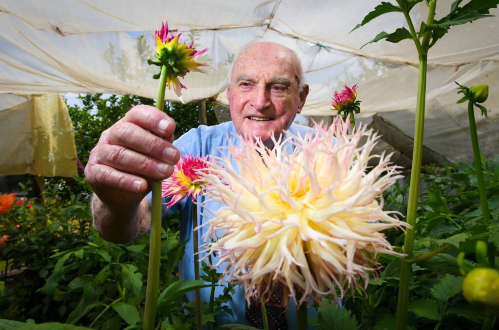 COMMUNITY MINDED: David 'Toota' Trewarne was chosen to open the Eaglehawk Dahlia and Arts festival, prior to its cancellation. Picture: NONI HYETT 