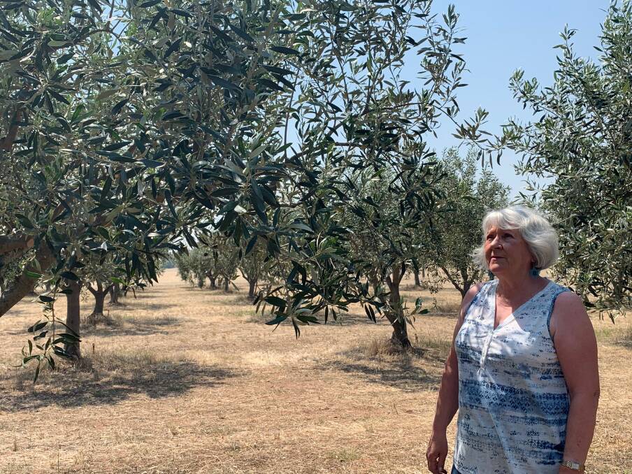 Julie Howard in her Goornong olive grove. 