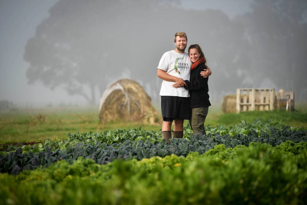 Huntly Organics' Jordan Collin and Emma Ruhlmann grow an acre of produce that includes lettuce, broccolini, garlic, beans, parsley and herbs. Picture: BRENDAN MCCARTHY 