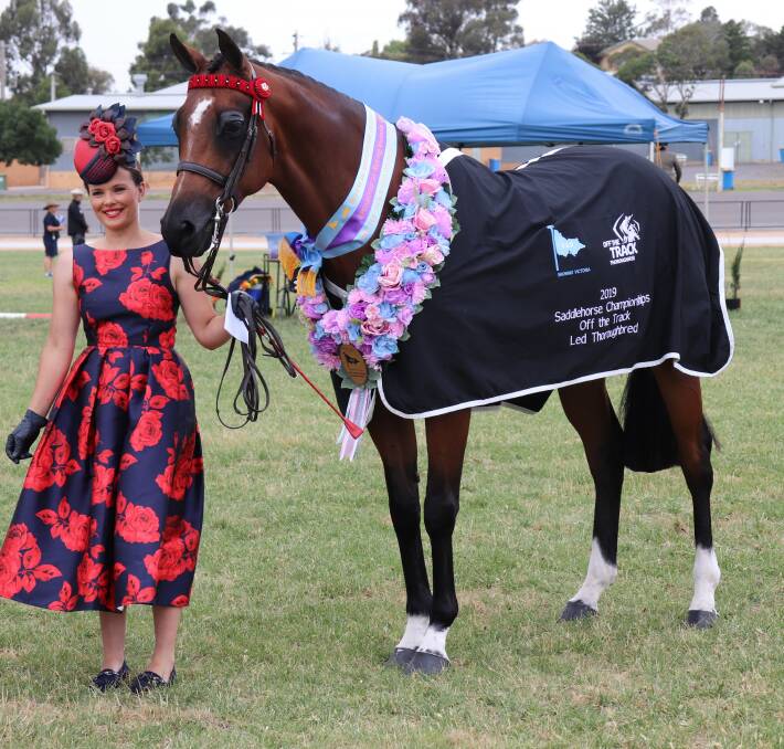 A 2019 Led Thoroughbred at the Victorian Agricultural Show Championships. 