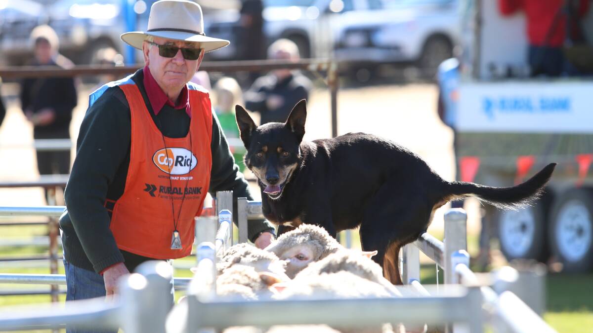 The three day event is held at Bendigo Showgrounds. Picture: GLENN DANIELS