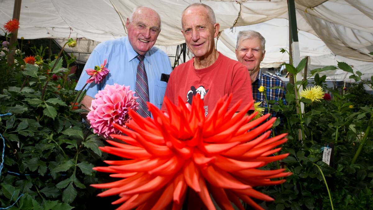 David 'Toota' Trewarne, David Richards and Laurie Fitzgerald with a Perbeck Lydia flower. Picture: NONI HYETT