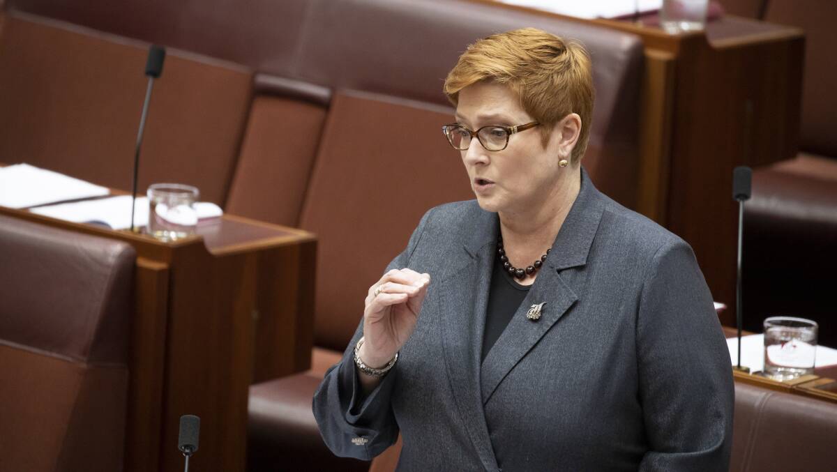 Foreign Minister Marise Payne said Australia stands in solidarity with the Afghan people. Picture: Sitthixay Ditthavong