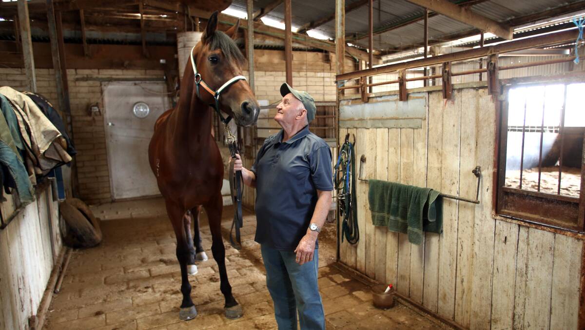  BEST MATES: Bendigo trainer Graham Browney with his favourite horse Big Roy. Picture: GLENN DANIELS