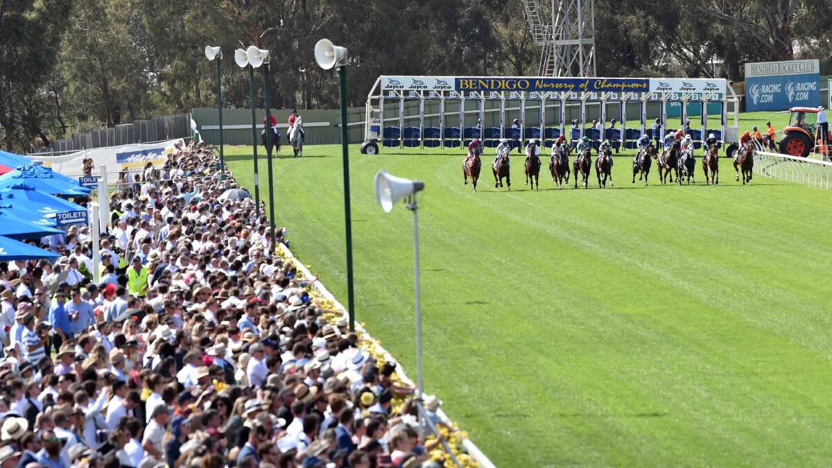 Win trackside tickets to the Bendigo Cup!