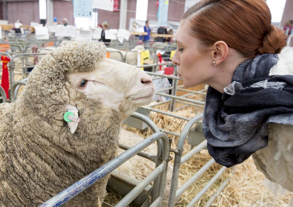 UP CLOSE: Fleece meets fashion at the show last year. Schools are encouraged to enter the Woolcraft competition just as much as the sheep competitions.  