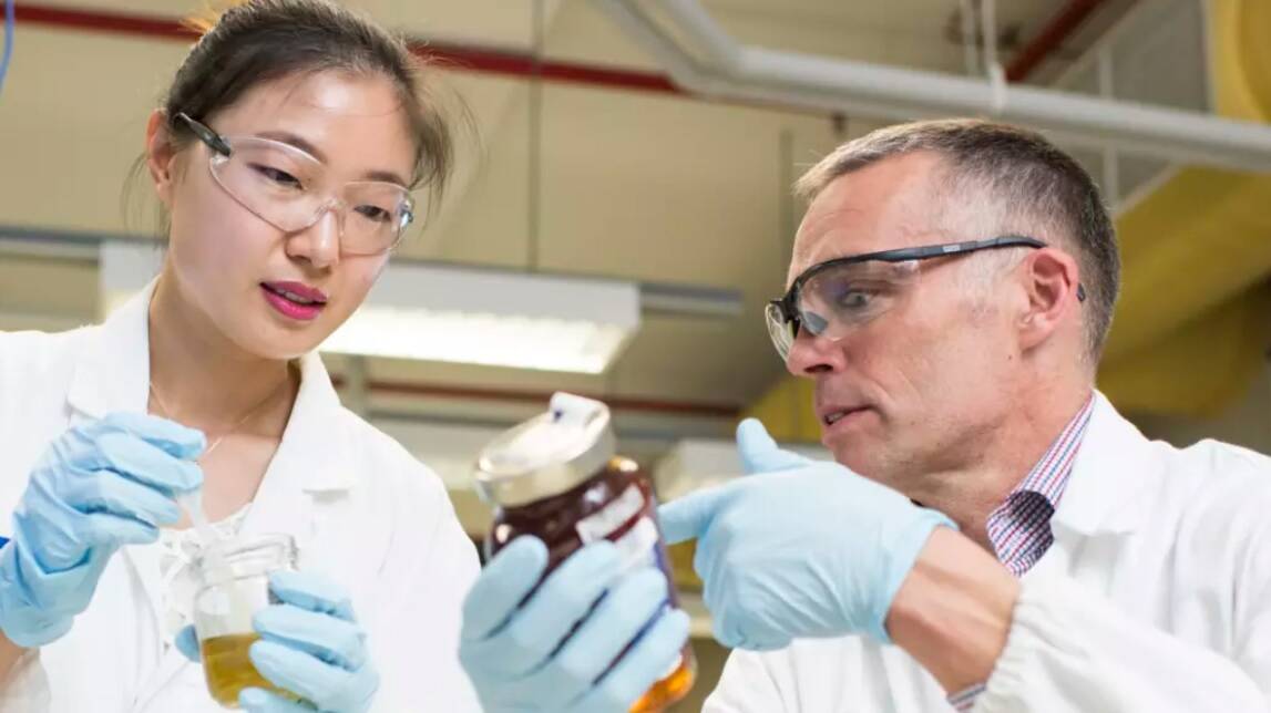 Professor Mark Taylor (right) and student Xiaoteng Zhou at Macquarie University have completed a survey of 100 samples of honey that shows Australia has adulterated honey. Photo: Wolter Peeters