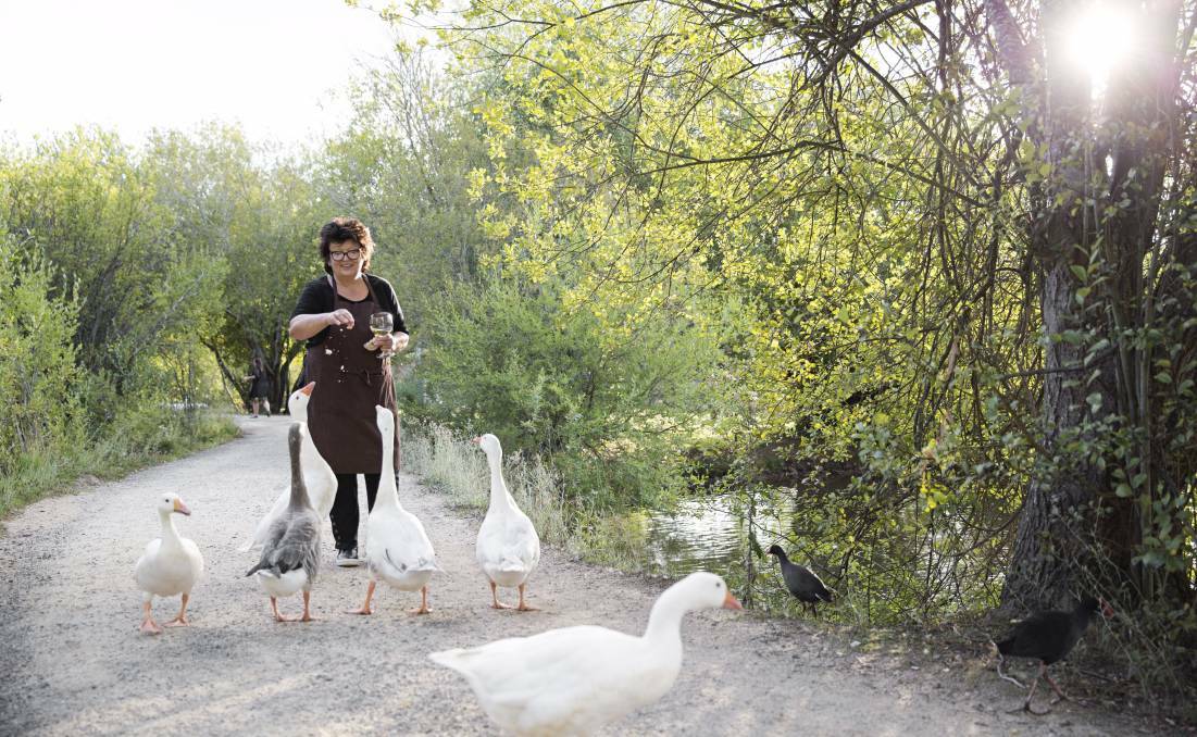 Alla Wolf-Tasker with geese at the Lake House in Daylesford. Photo: Lisa Cohen