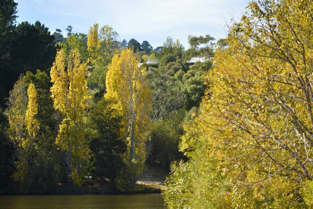 NATURAL GEM: Daylesford has a lot to offer visitors, including natural beauties like Lake Daylesford. Picture: Dylan Burns 