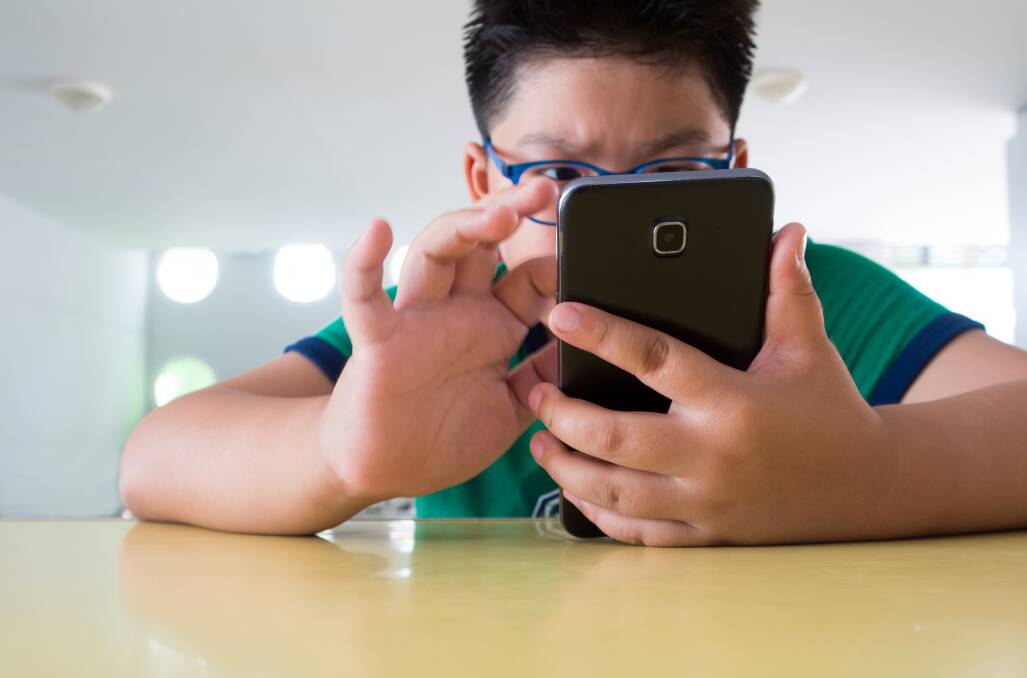 Children on the autism spectrum at increased risk of online bullying
