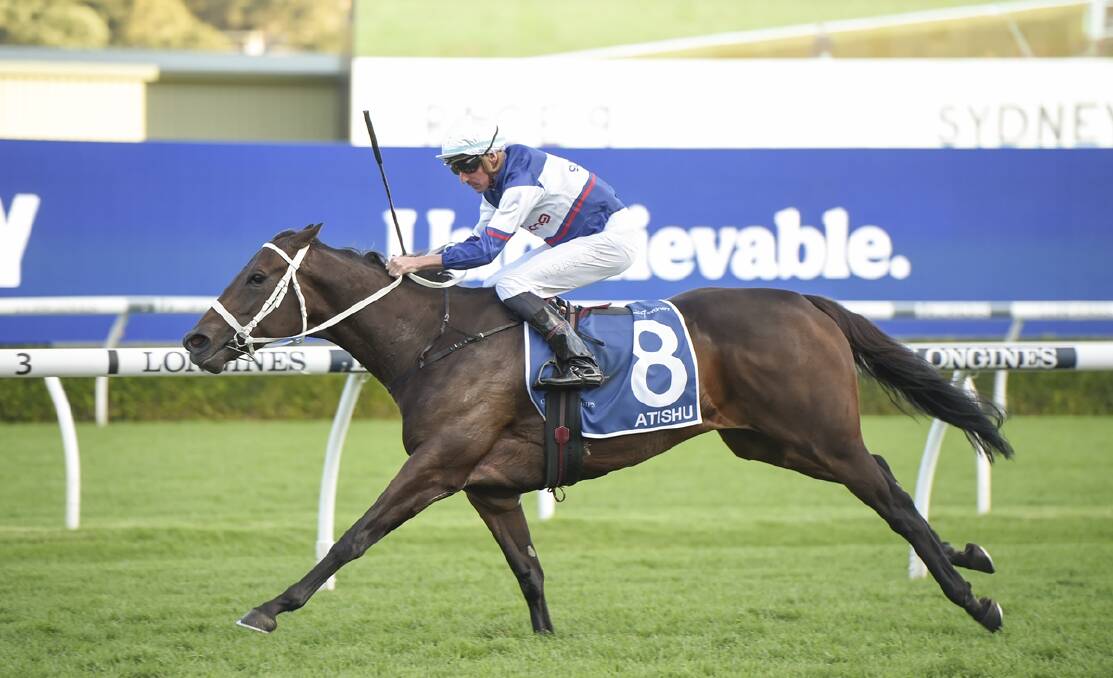Atishu is tipped to win Race 9, the Grainshaker Vodka Queen of the Turfa over 1600m. Picture Bradley Photos