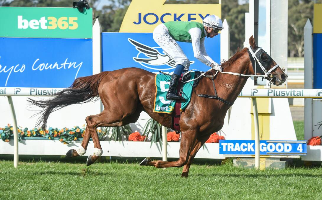 Jockey Michael Dee claims his second Golden Mile victory aboard Hellova Street. Picture: RACING PHOTOS