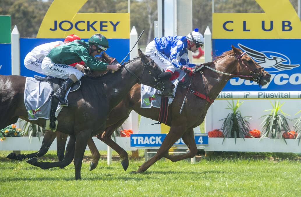 DENNIS THE MENACE: Dean Yendall produced a brilliant ride to gude Dennis to victory in race four on Bendigo Cup day. Picture: DARREN HOWE