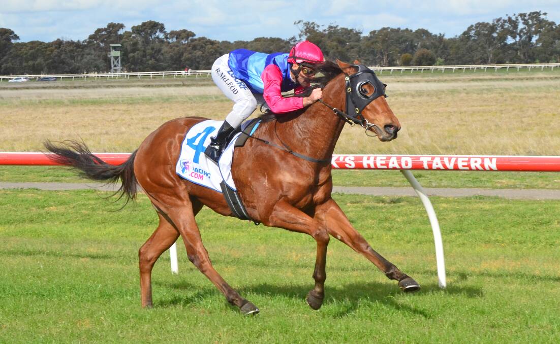 POTENTIAL: Debut wins don't get much better than what Bendigo galloper Star Hills produced at Donald on Saturday. Picture: GETTY IMAGES