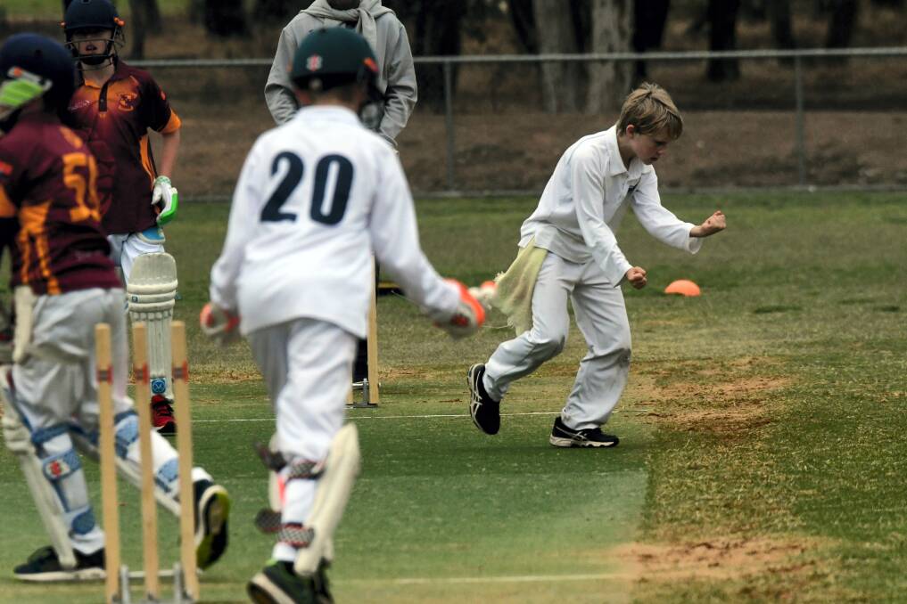 Sedgwick's Ethan Pope celebrates a wicket against Maiden Gully in their under-12A game. Picture: ADAM BOURKE