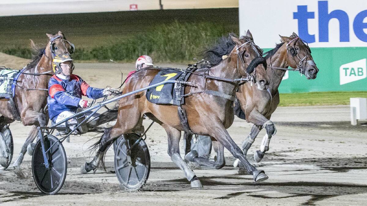 Dance Craze goes into the Maori Mile on the back of a solid win at Melton. Picture: STUART McCORMICK