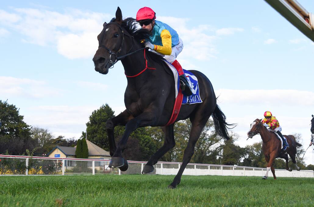 Super Girl will take on a class field in the MRC Foundation Cup at Caulfield on Saturday. Picture: RACING PHOTOS