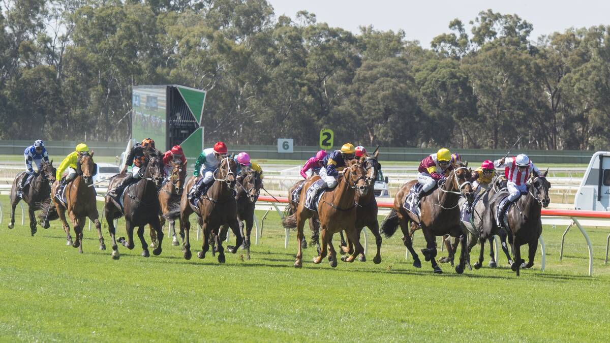 Top Of The Range bursts through on the inside to win last year's Bendigo Cup. Picture: DARREN HOWE