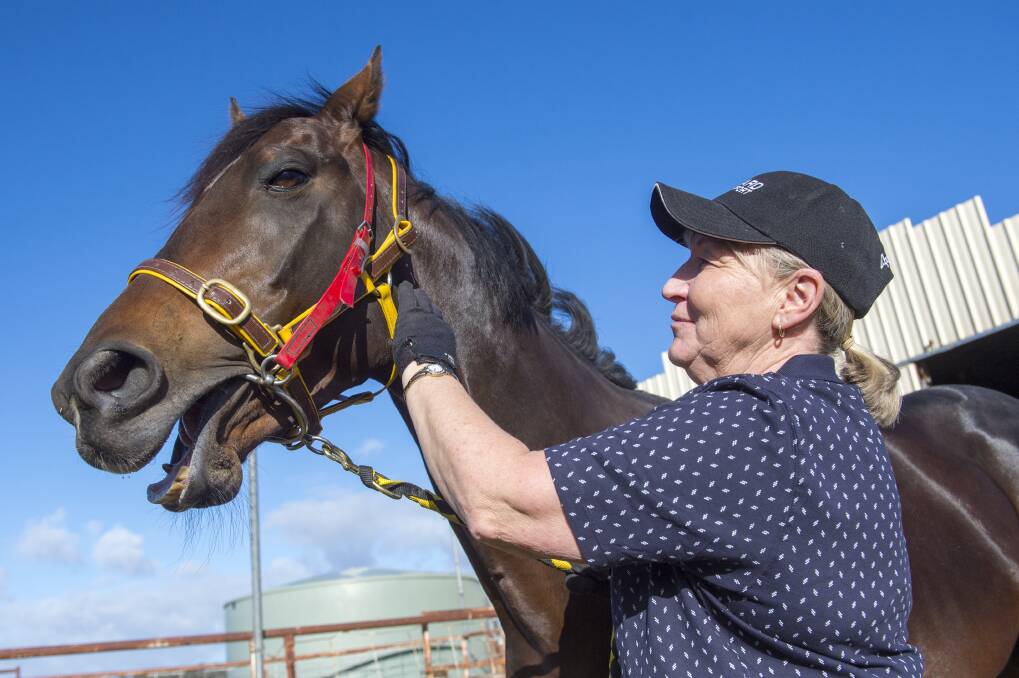 PRIDE AND JOY: Janet Wicks gives stable star My Boy Greg a pat at her HUntly training base. Picture: DARREN HOWE