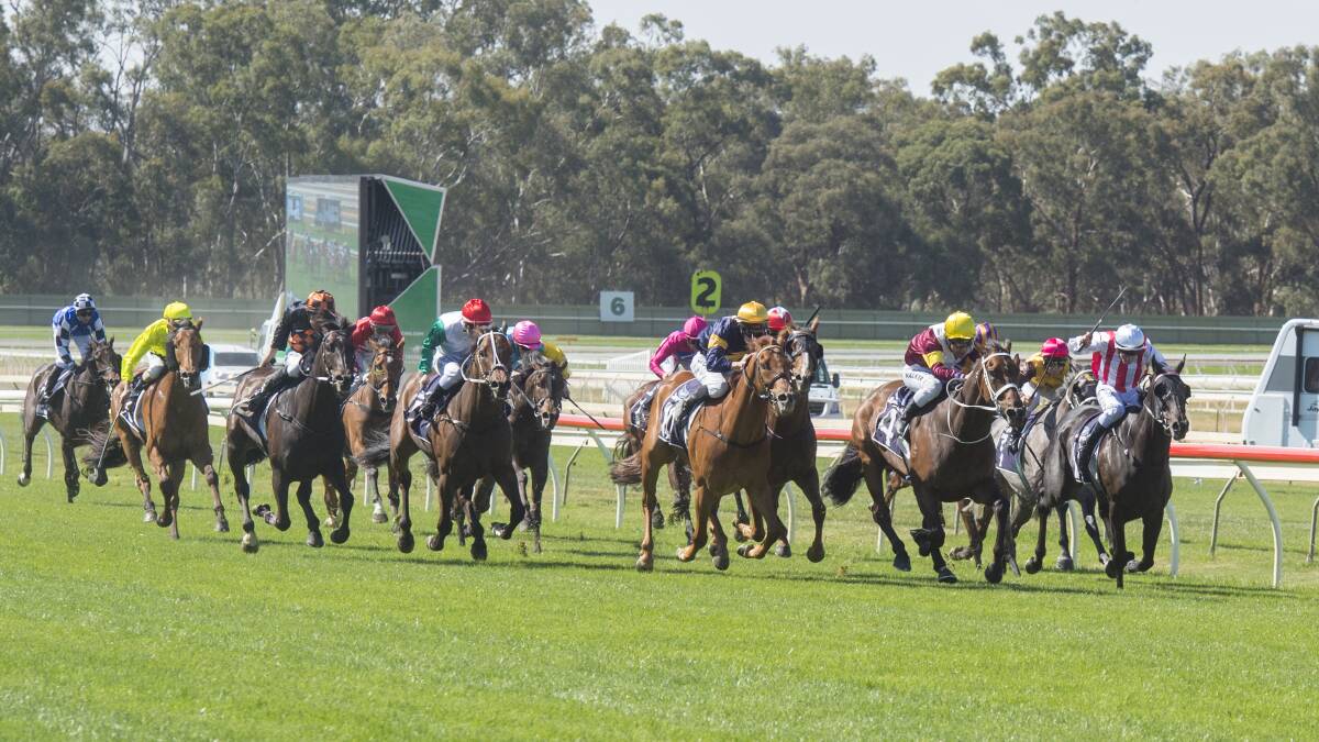The field in the Bendigo Cup sprints to the finish line. Picture: DARREN HOWE