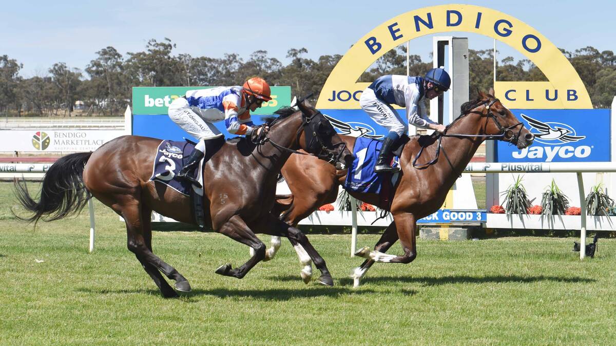 POPULAR VICTORY: Short-priced favourite Bowing holds off Rebel Romance to win race five at the Bendigo Jockey Club on Thursday. Picture: DARREN HOWE
