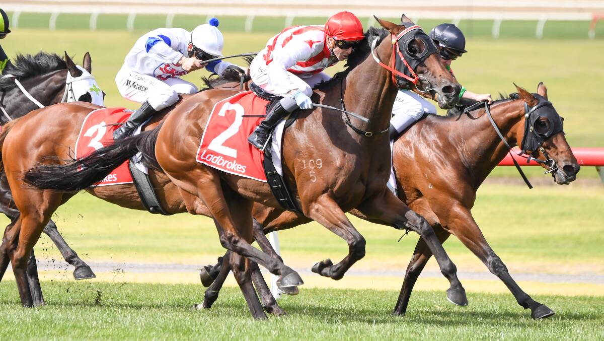 STRONG FINISH: Queen Guinevere wins race three at Sandown with Harry Coffey in the saddle. Picture: RACING PHOTOS
