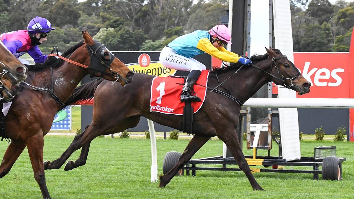 Super Girl's final victory at Sandown earlier this spring. Picture: RACING PHOTOS