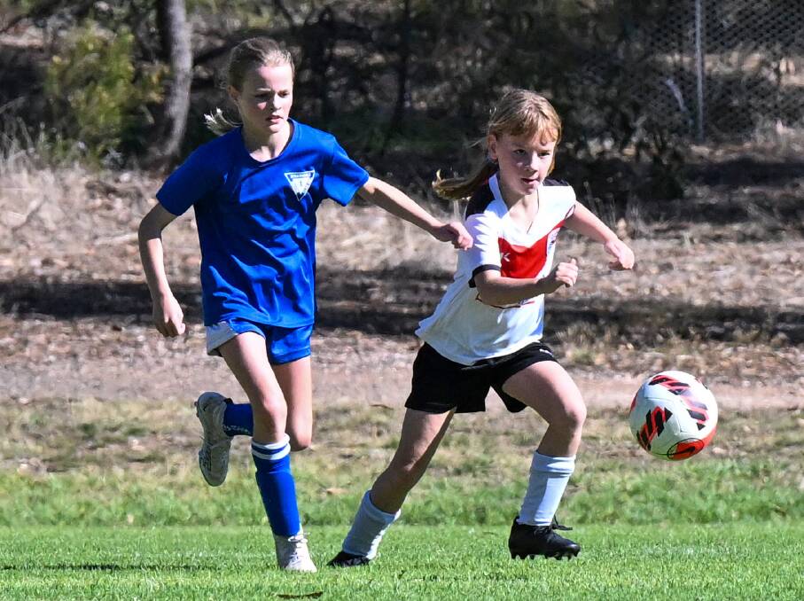 The under-12 girls division is one of the fastest-growing age growing groups in Bendigo soccer. Picture by Darren Howe