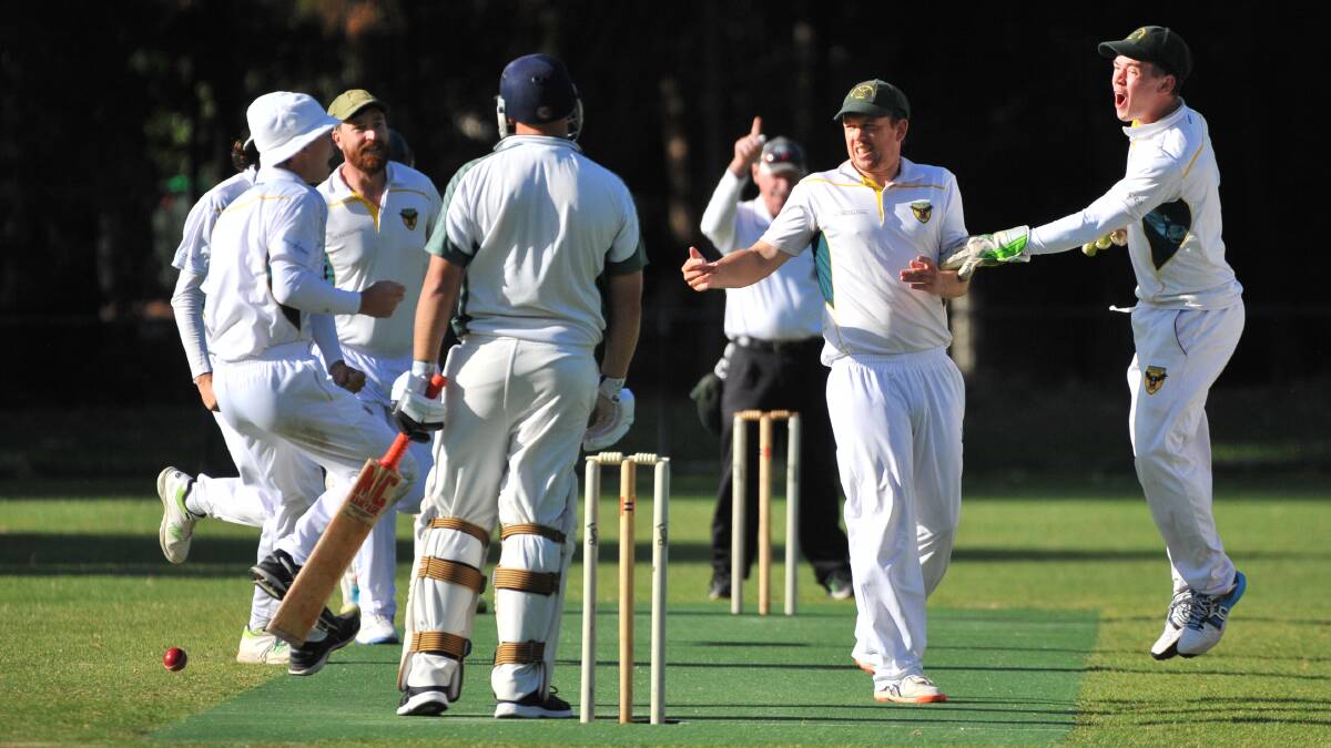 Spring Gully players celebrate the wicket of Emu Creek's Luke Bennett. Picture: LUKE WEST