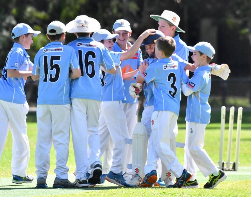 New pathway program for talented junior cricketers