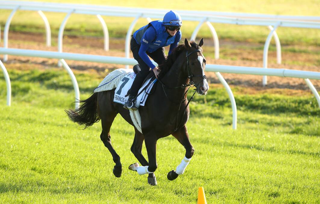 Francis Of Assisi at trackwork at Werribee ahead of next Wednesday's Jayco Bendigo Cup. Picture: GETTY IMAGES