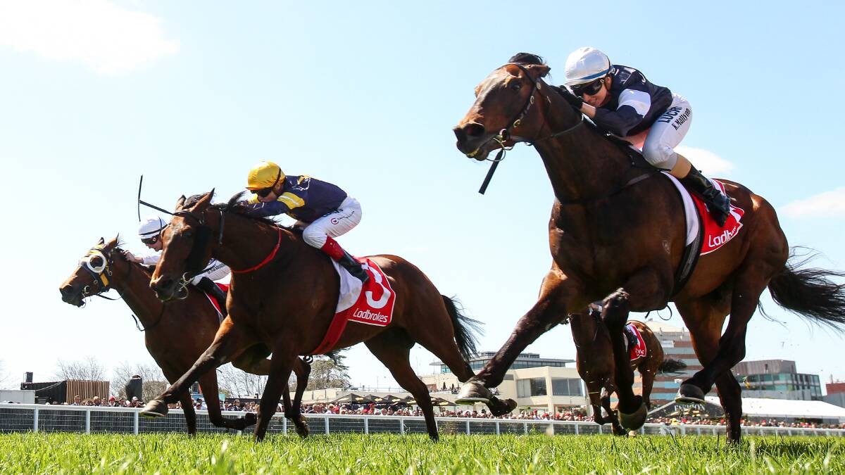 Assign, right, could use the Bendigo Cup as a stepping stone to the Melbourne Cup. Picture: GETTY IMAGES