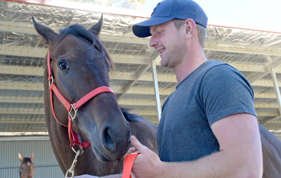 STABLE STAR: Moonee Valley winner Savaju with Shaun Dwyer Jr at the White Hills' stables. Picture: DARREN HOWE