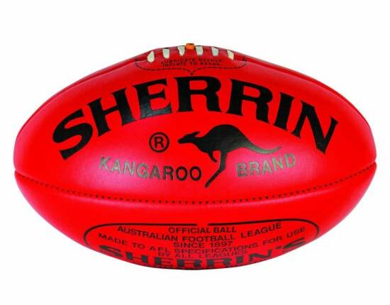 Dunolly Football Netball Club issues life bans to two players