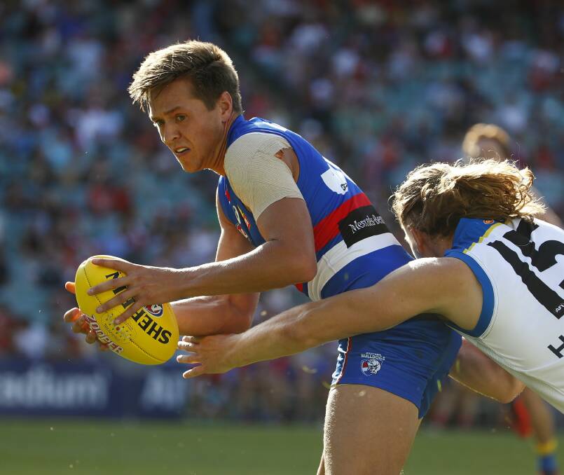 Fergus Greene is in great form at VFL level.