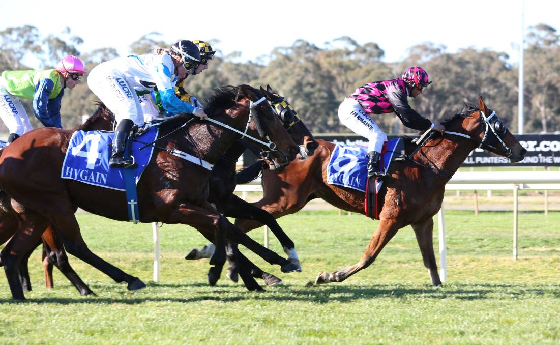 QUINELLA: The Kym Hann-trained Elmore Lad holds off stablemate She's Beneficial to win the Donna Philpot Memorial. Picture: GLENN DANIELS