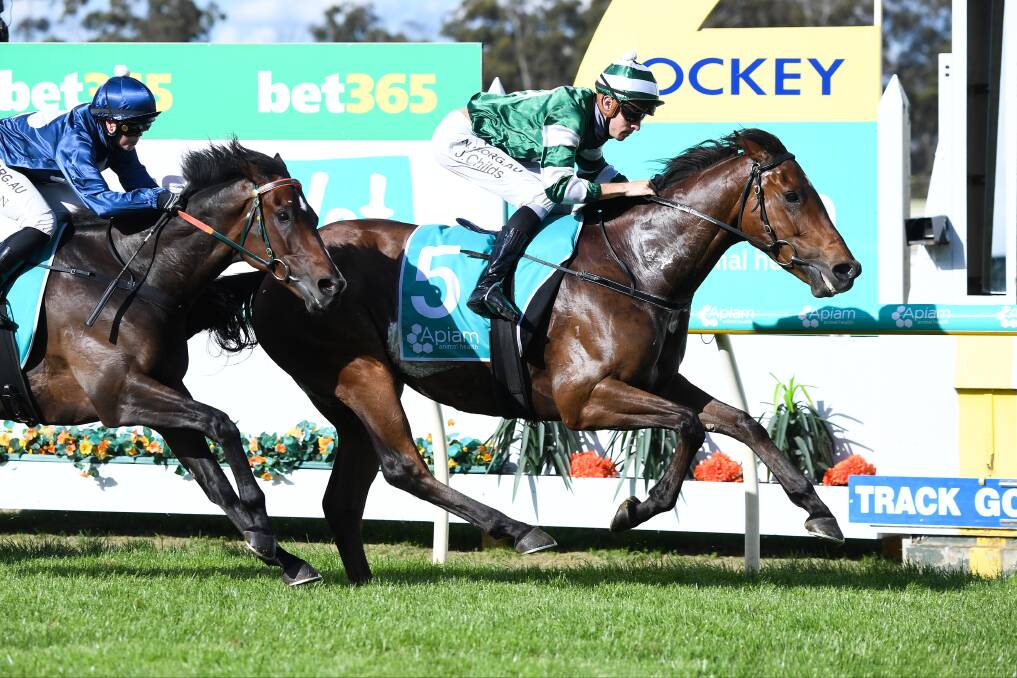 Highclass Harry powers to victory in the last event on Bendigo Cup day. Picture: RACING PHOTOS