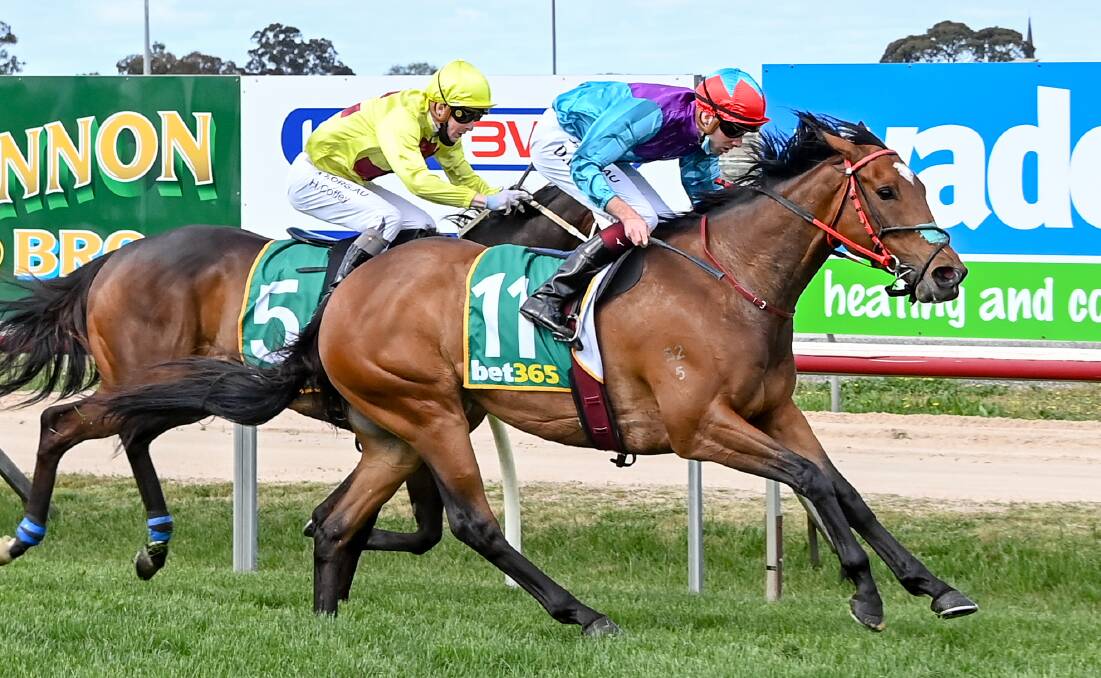 Vungers, inside, narrowly goes down in a heat of the Melbourne Cup Carnival Country Series. Picture: RACING PHOTOS
