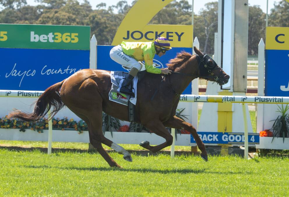 Winning Partner opened proceedings with a stylish victory for the Tony McEvoy stable. Picture: DARREN HOWE
